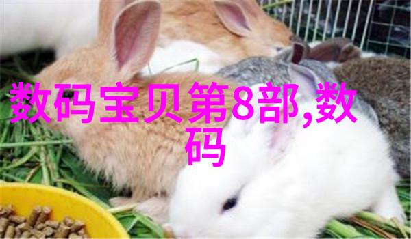 郑州铁路职业技术学院我在这里找到了我的铁轨梦想