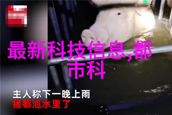 光影舞台亚克力的艺术篇章
