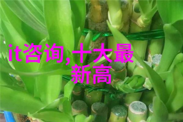 废旧物资拍卖网从破烂到宝笑傲千家万户