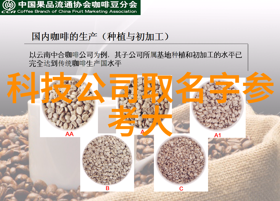 隐秘的规整环填料之谜