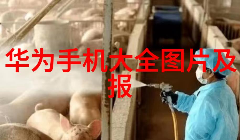 2013年小卧室装饰灵感大汇总创意空间设计与风格演绎