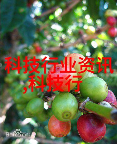 建筑地基基础工程施工质量验收规范我来教你如何检查地基的底子好不好