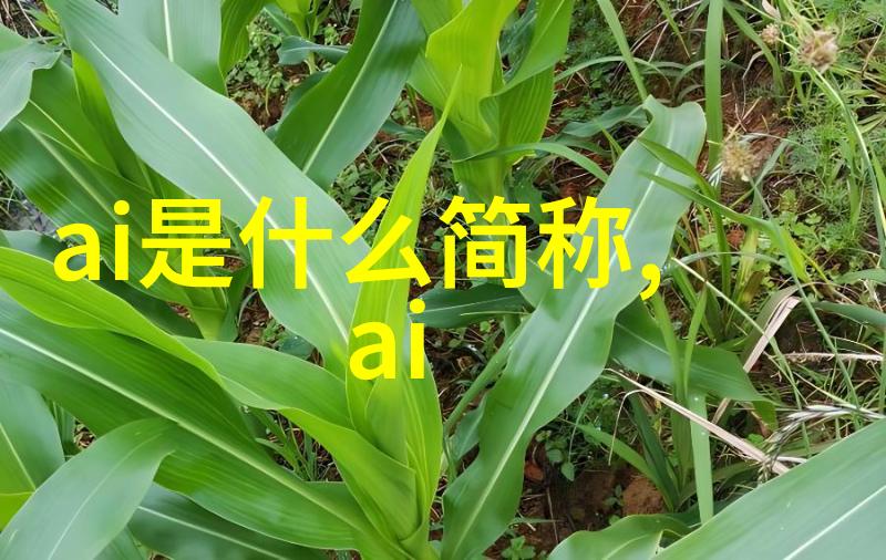标准网我是怎么在一夜之间成为网络名人