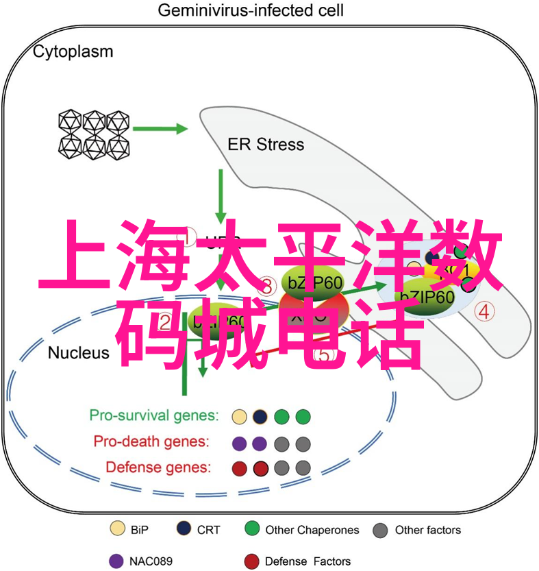 固定床反应器的设计原则与选择