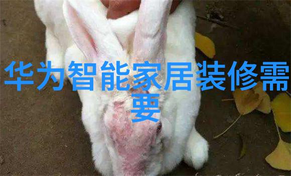 幼儿园新装修设计引领小朋友的快乐成长