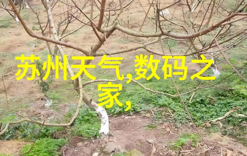 微波干燥技术的应用与发展提高食品安全与效率的新途径