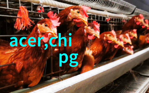 未来科技发展下对于pp填料可能会有哪些新的应用领域