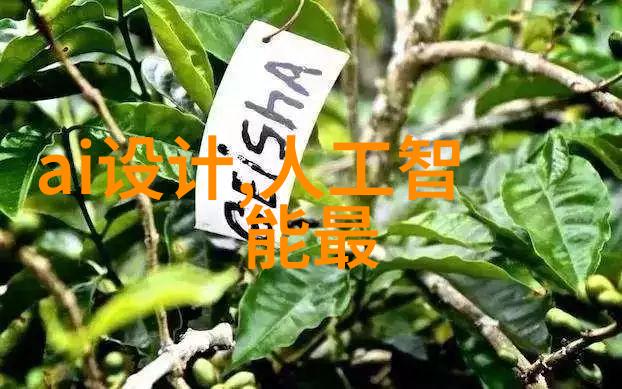 DN50金属环矩鞍填料安装指南与帮助