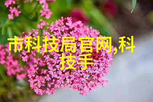 妈妈的光芒探索漂亮妈妈中文字幕完整高清视频背后的故事与意义