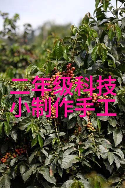 2022年最新客厅装修风格 - 轻奢时尚2022年最流行的客厅装修风格探秘