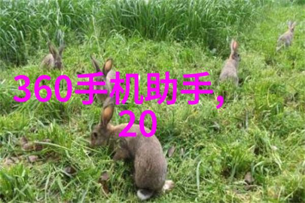 消毒之星杀菌设备生产厂家背后的故事