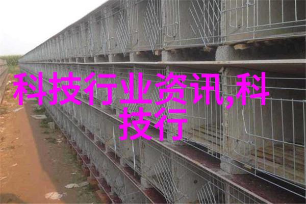 炮灸艺术探秘中医古法与现代技术的结合