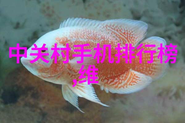 寻觅城市脉络常用PE管材的隐秘轨迹