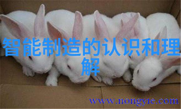 家居装修-精致雅观客厅顶部装修效果图片欣赏