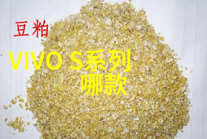 生物科技-膜生物学中的膜组件与功能调控机制探究