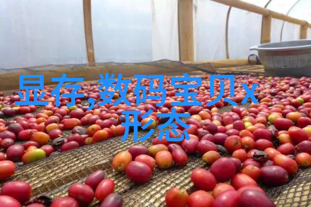 一口价还是按用量计费哪种方式更合理