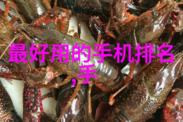 水质检测180饮用安全性评估与实践指南