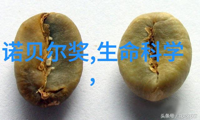 化工炮灸的秘密揭秘现代化工技术的神奇力量