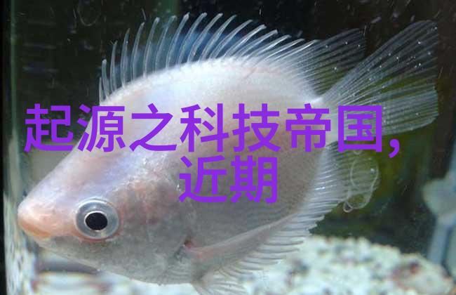 分选机型号哪些因素会影响其选择