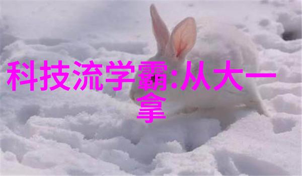 小户型智慧装修创意空间的艺术探索
