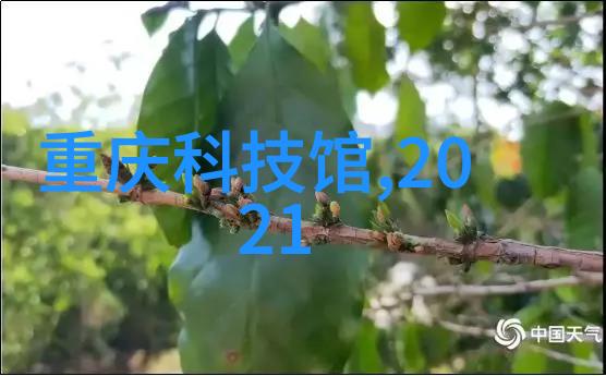 化学品的多样性与应用广泛