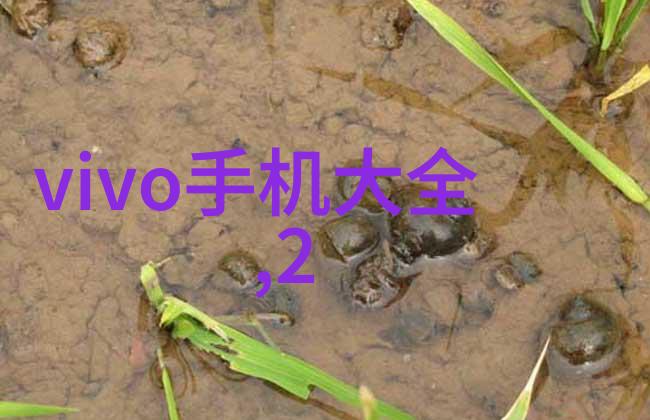 小型黄酒杀菌设备能否真正解决传统酿造中的污染问题