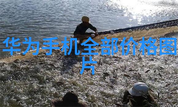 主题我怎么设计大厅和客厅的隔断效果图