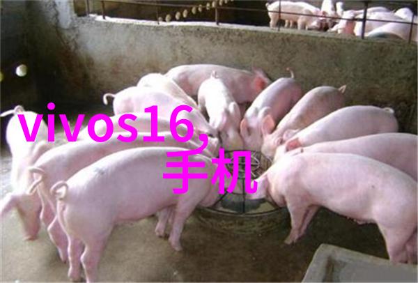 输送设备制造生产厂家的技术创新与应用