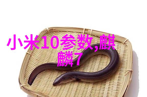 垃圾焚烧技术的进步与生活垃圾处理新篇章