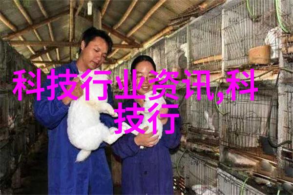 第一皇妃全文免费阅读揭秘宫廷权谋与爱情纠葛