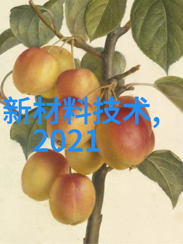 豪华居所的完美梦想高端别墅装饰设计艺术探索