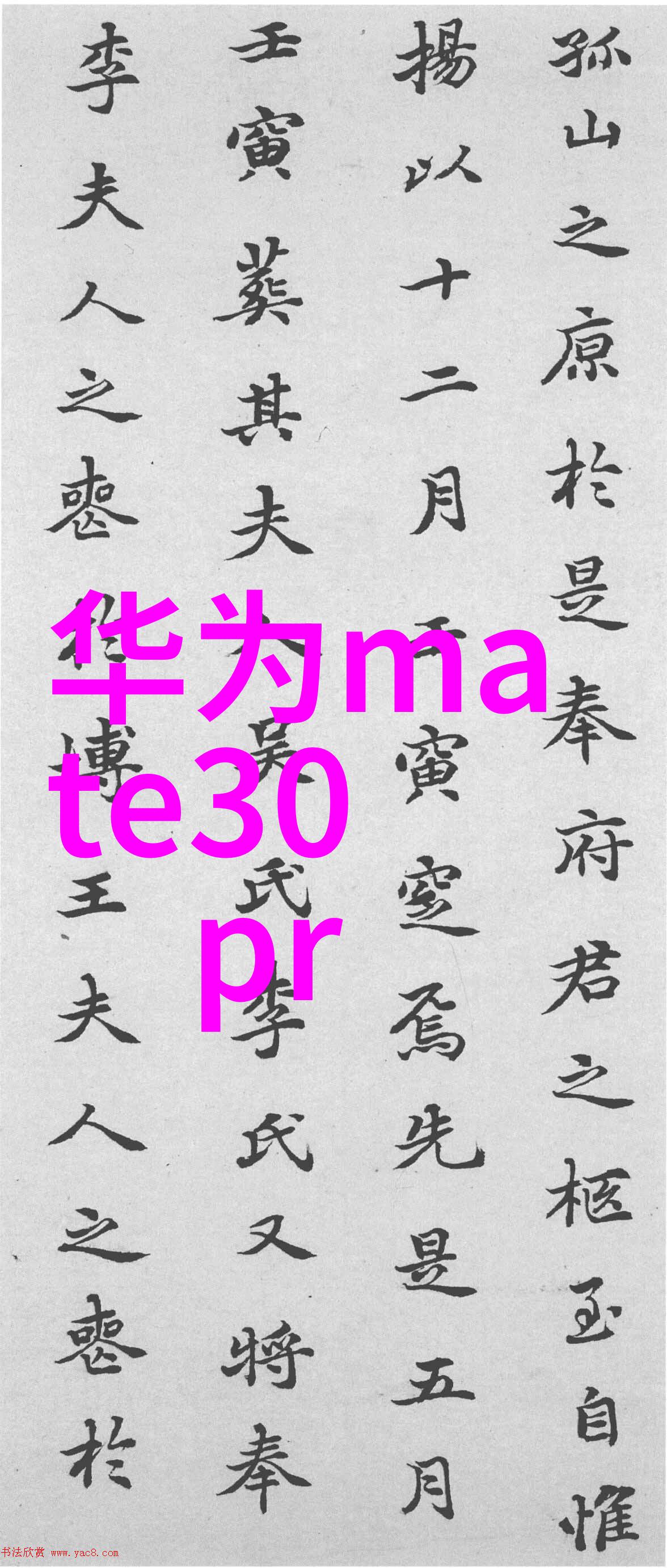 到底是测评还是评测揭秘两者区别的艺术之谜