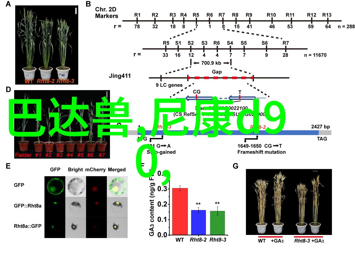 卫生间怎么样装修好看我来告诉你如何让自己的卫生间从平淡无奇到时尚有格调