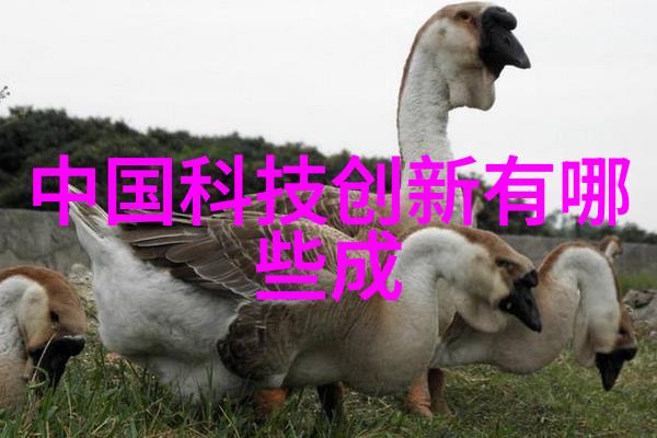 水净化设备-清新源自技术探索水净化设备的未来发展趋势