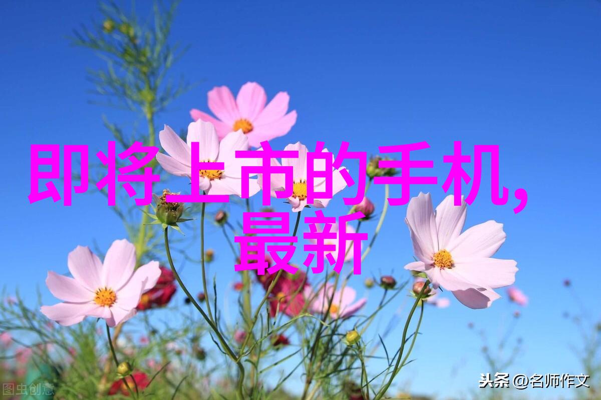 整改报告中应避免的常见错误