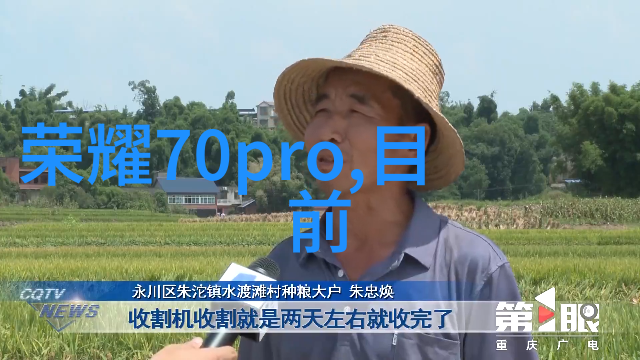化工行业的旗舰产品塑料与化学纤维
