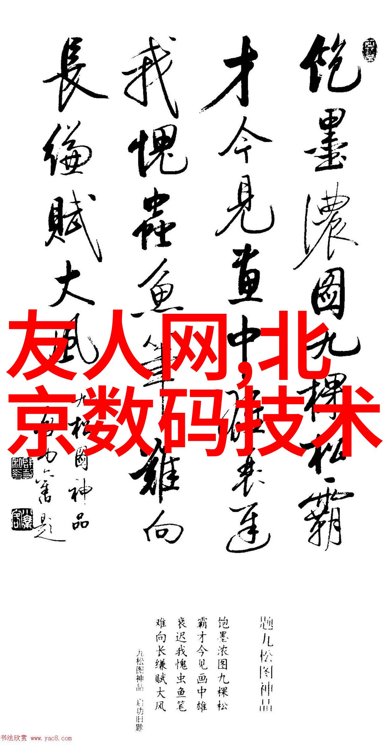 重生神座之月神月亮的轮回与女神的光芒