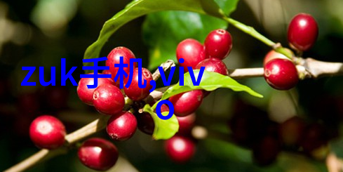 实验室离心机旋转的科学精度与高速分离艺术