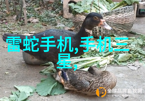 沙石分离机在建筑工程中扮演什么角色