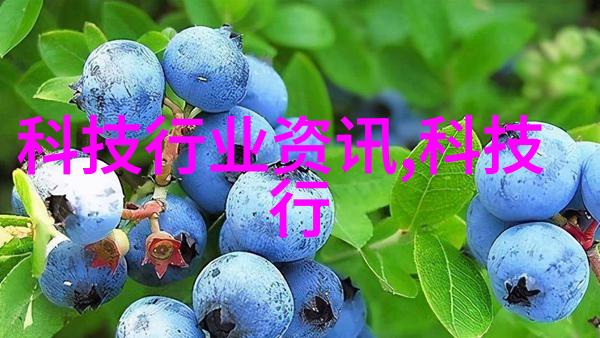 饮用水质量监测体系中的pH值标准探究及其对环境健康影响的分析