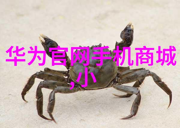 科技创新引领未来梦想强国的飞跃之旅