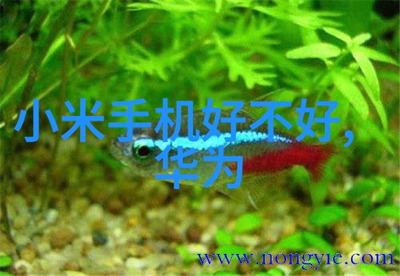 压力仪器的发展历程是怎样的