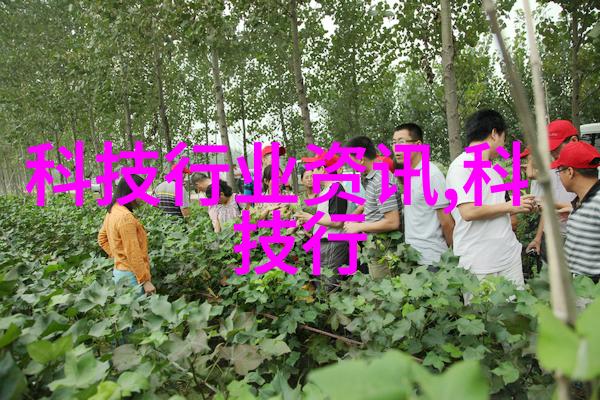校园文化活动有哪些这些活动对学生有什么影响
