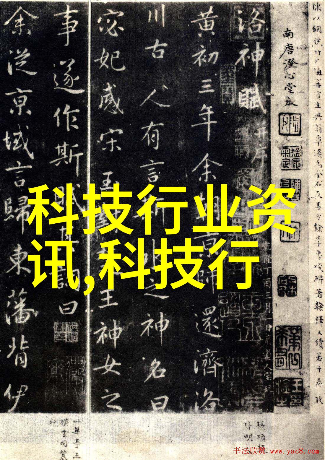 啄木鸟技术解密其独特的建筑方式