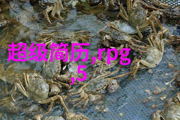 碳捕捉新纪元高效空气分离二氧化碳技术的应用与前景