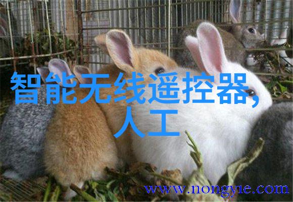 化学大海物质世界的无尽宝藏
