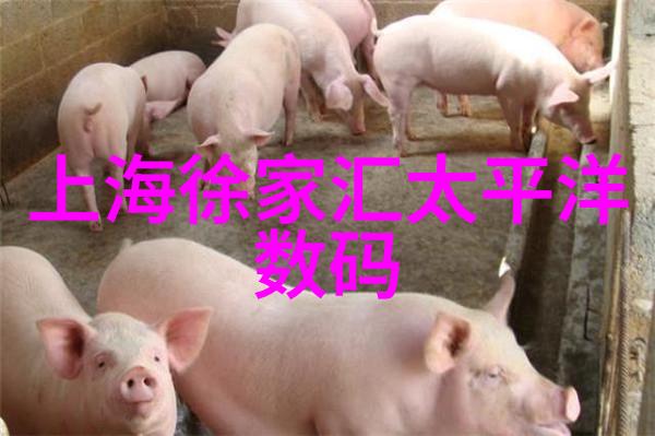化工废水处理设备我来告诉你如何让工业污染变清澈