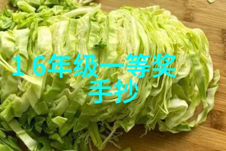 设备创新-粘土泥石分离机开启矿物资源高效利用新篇章