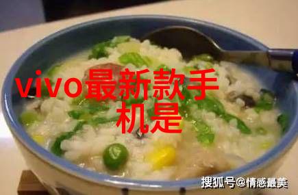 干燥设备公司从基础原理到高端应用