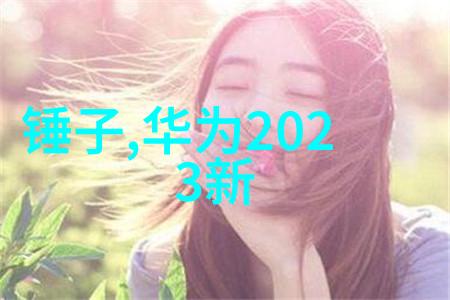 苹果新品发布会2016苹果公司最新智能手机和其他电子产品的全球首发